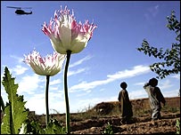 Afganistan