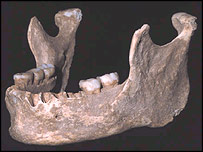 Fóssil humano