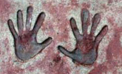 Hands