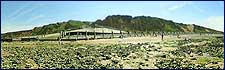 West Runton beach