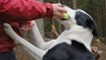 Dog and handler playing with toy bone
