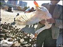 Vendedor de aves na China