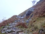 Track up Ben Nevis