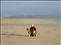 Barbara, on Rathmullan beach with 'Mollie', her boxer dog.