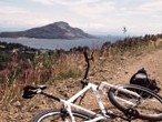Cycle Route Scene