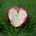 Apple with heart-shaped bite