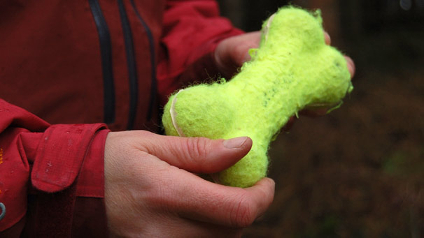 Toy dog bone