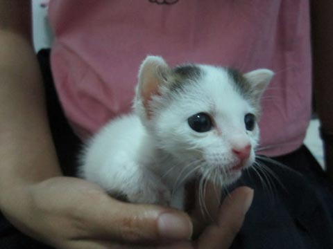 In my hand