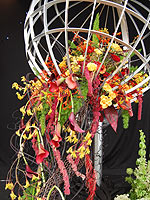 warwickshire_sun_arrangement.jpg