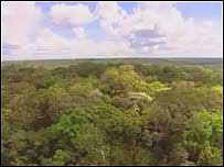 Amazônia