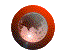 bbc_politics1997_hk_ani.gif