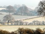 Countryside with hedges