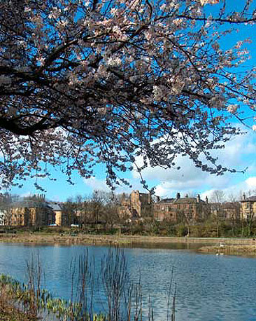 Bingham's Pond