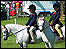 Owestry Show 2008
