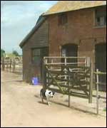 Elbury Farm