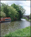 Livesey