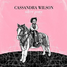 Review of Silver Pony Review of Silver Pony