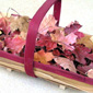The leaves that were sent from America