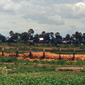 The killing grounds - as mentioned in the story