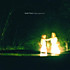Review of Through Low Light and Trees Review of Through Low Light and Trees
