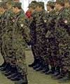 Swiss army