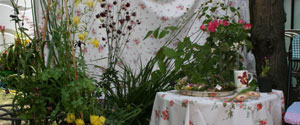 back_stage_garden.jpg