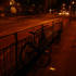 Lynne McKenzie