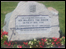 The stone