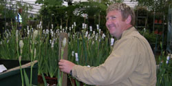 rob_iris_250x125.jpg