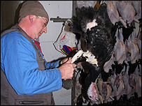 turkey_farmer_203.jpg
