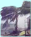 Hurricane
