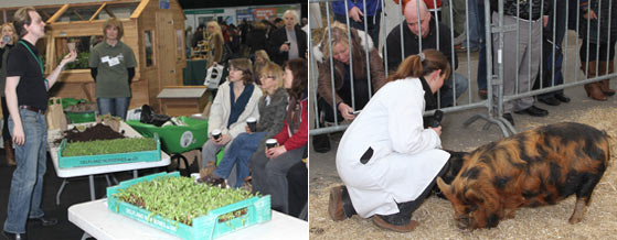 Edible Garden Show