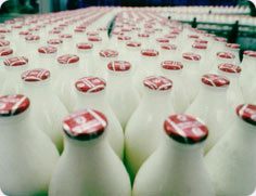Milk
