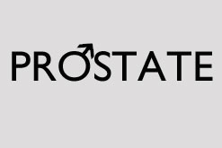Prostate