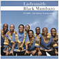Review of Ilembe - Our Tribute to King Shaka 