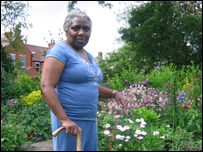Merle in the garden
