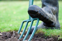 digging
