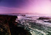 Papa Westray