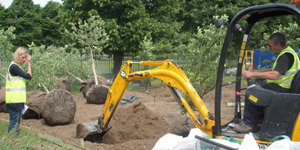 planting_trees.jpg