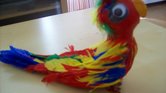 Parrot Parrot