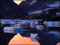 Iceberg