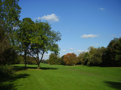 Summer park