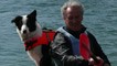 Dog outdoors