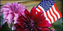 flag_203.jpg