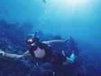 Diver