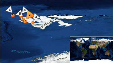 Dive map - Arctic Ocean - Site 2