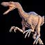 Velociraptor