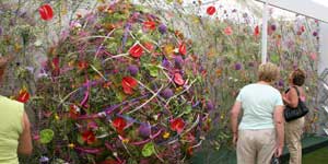flower_ball.jpg