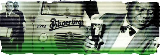 Pivo