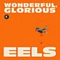 Review of Wonderful, Glorious Review of Wonderful, Glorious